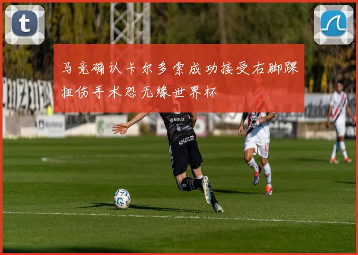 马竞确认卡尔多索成功接受右脚踝扭伤手术恐无缘世界杯