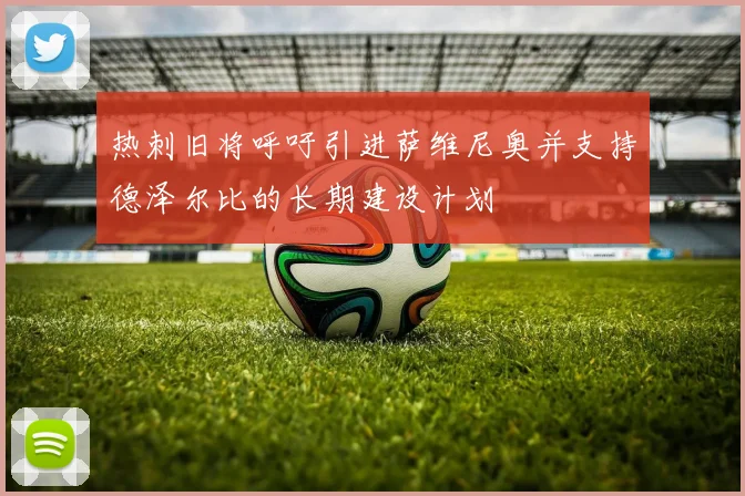 热刺旧将呼吁引进萨维尼奥并支持德泽尔比的长期建设计划