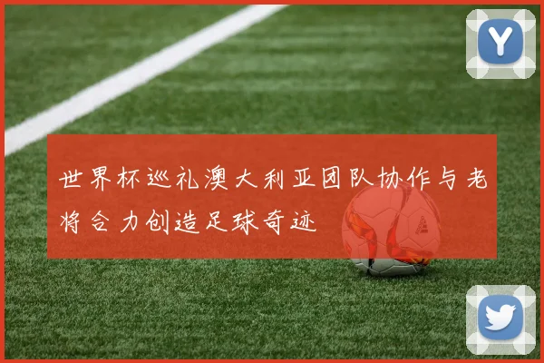 世界杯巡礼澳大利亚团队协作与老将合力创造足球奇迹